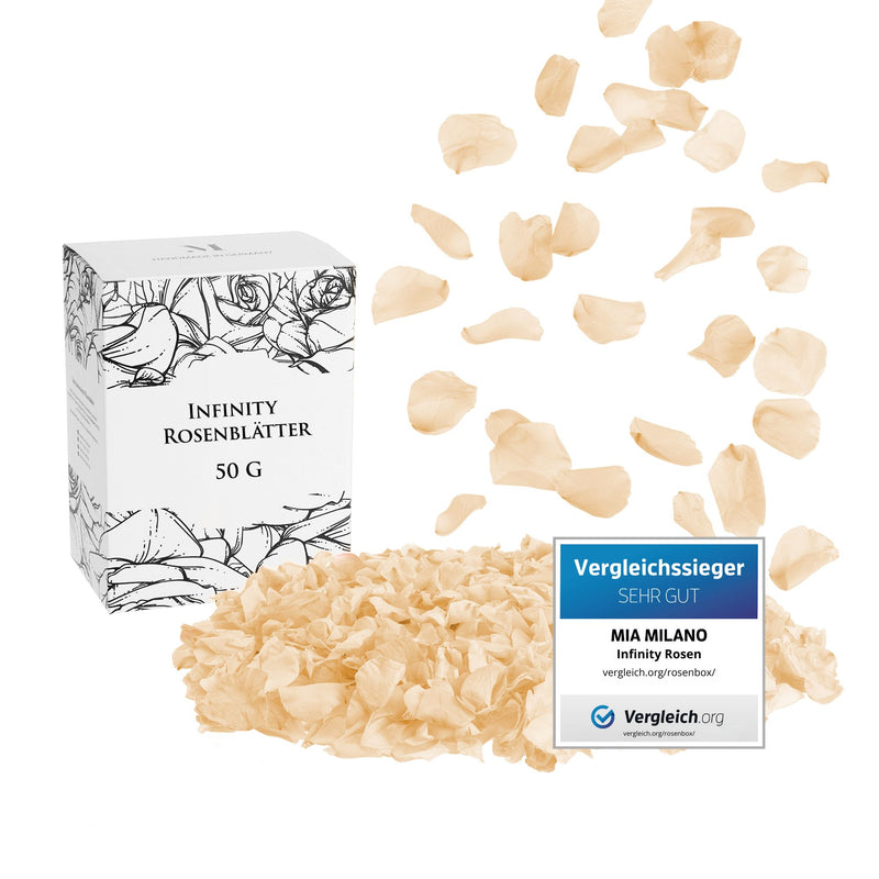 geschirr anthrazit andas Teller-Set »modernes Geschirr-Set, Service Nydala«, (Set, 18 tlg.), hohe Haltbarkeit, spülmaschinengeeignet & mikrowellengeeignet auf Raten bestellen Farbe.:ivory